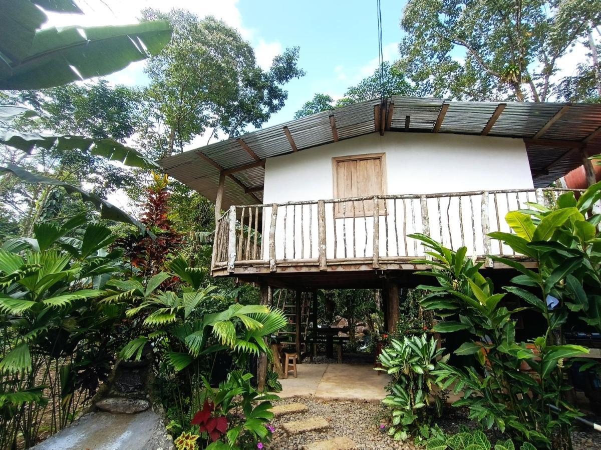 Cabana Vista Rio Celeste Exterior photo